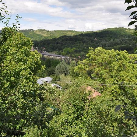 فندق Casuta Cu Trandafiri Slănic المظهر الخارجي الصورة