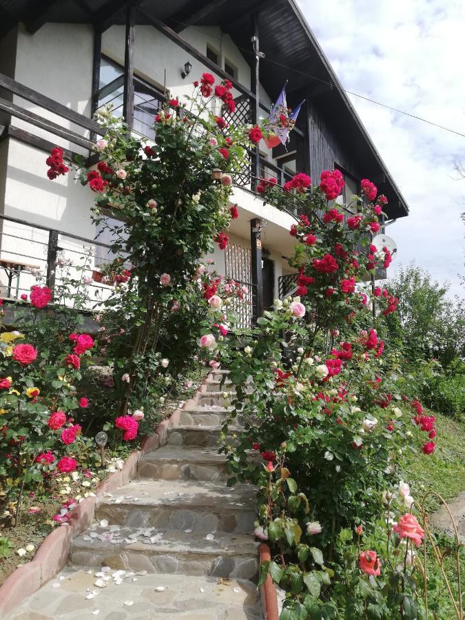 فندق Casuta Cu Trandafiri Slănic المظهر الخارجي الصورة