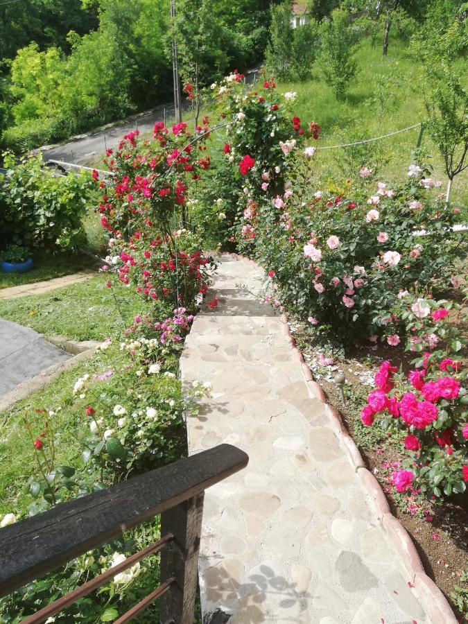 فندق Casuta Cu Trandafiri Slănic المظهر الخارجي الصورة