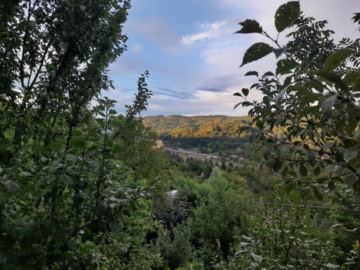فندق Casuta Cu Trandafiri Slănic المظهر الخارجي الصورة