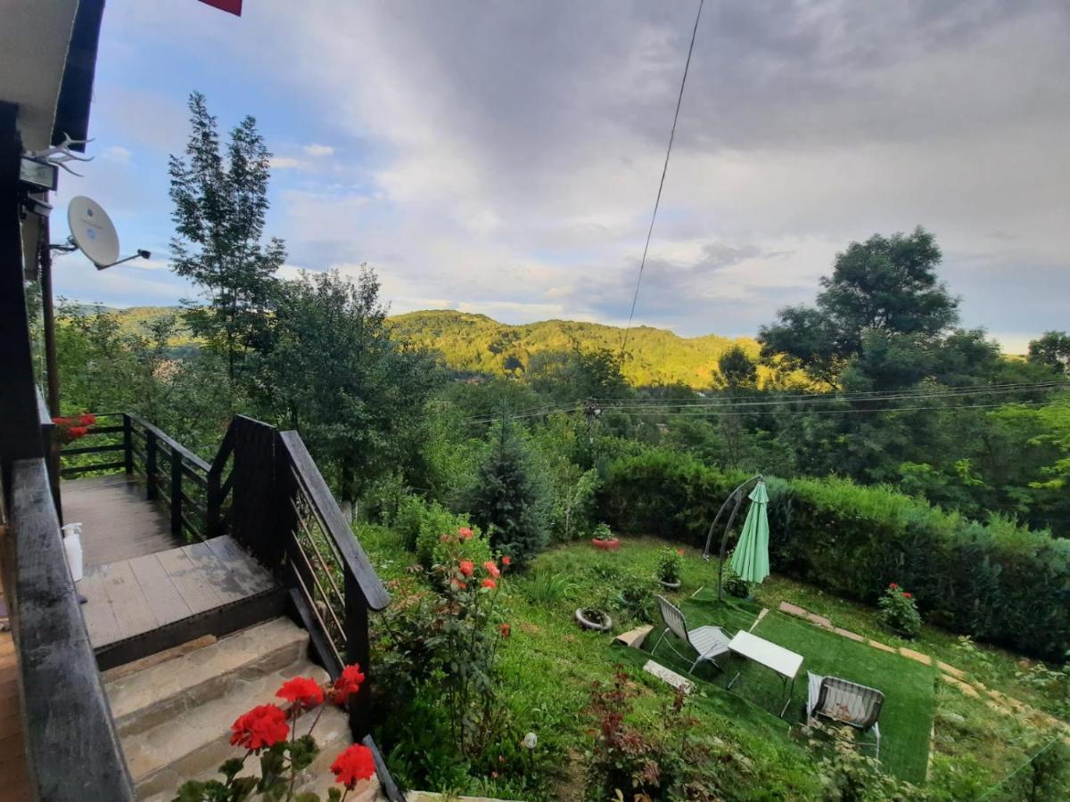 فندق Casuta Cu Trandafiri Slănic المظهر الخارجي الصورة