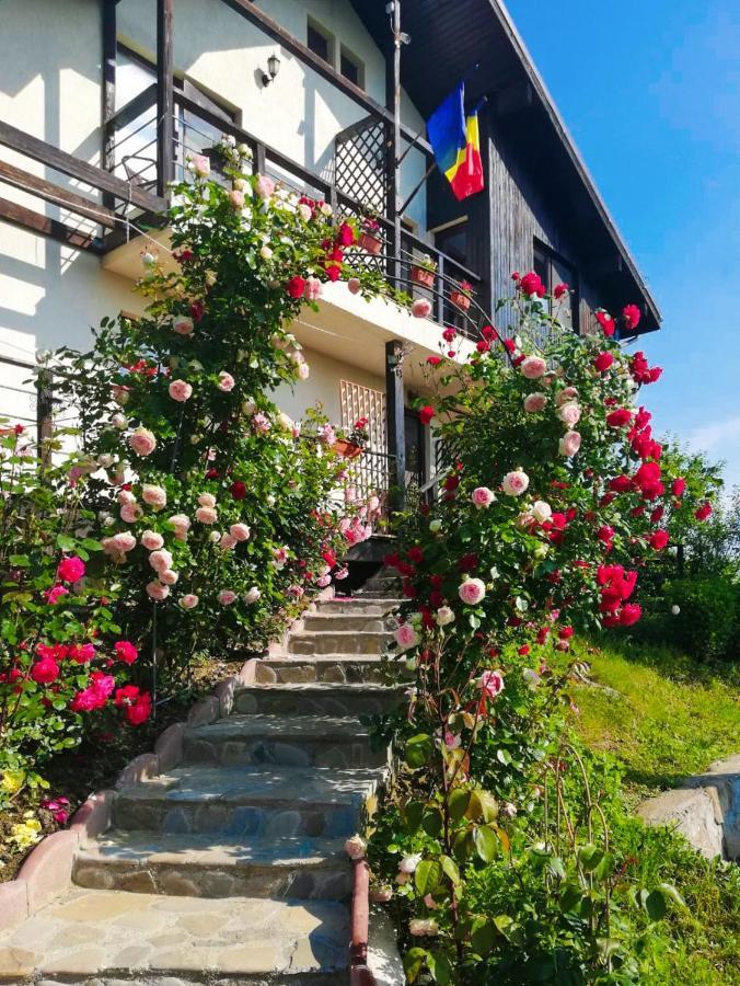 فندق Casuta Cu Trandafiri Slănic المظهر الخارجي الصورة