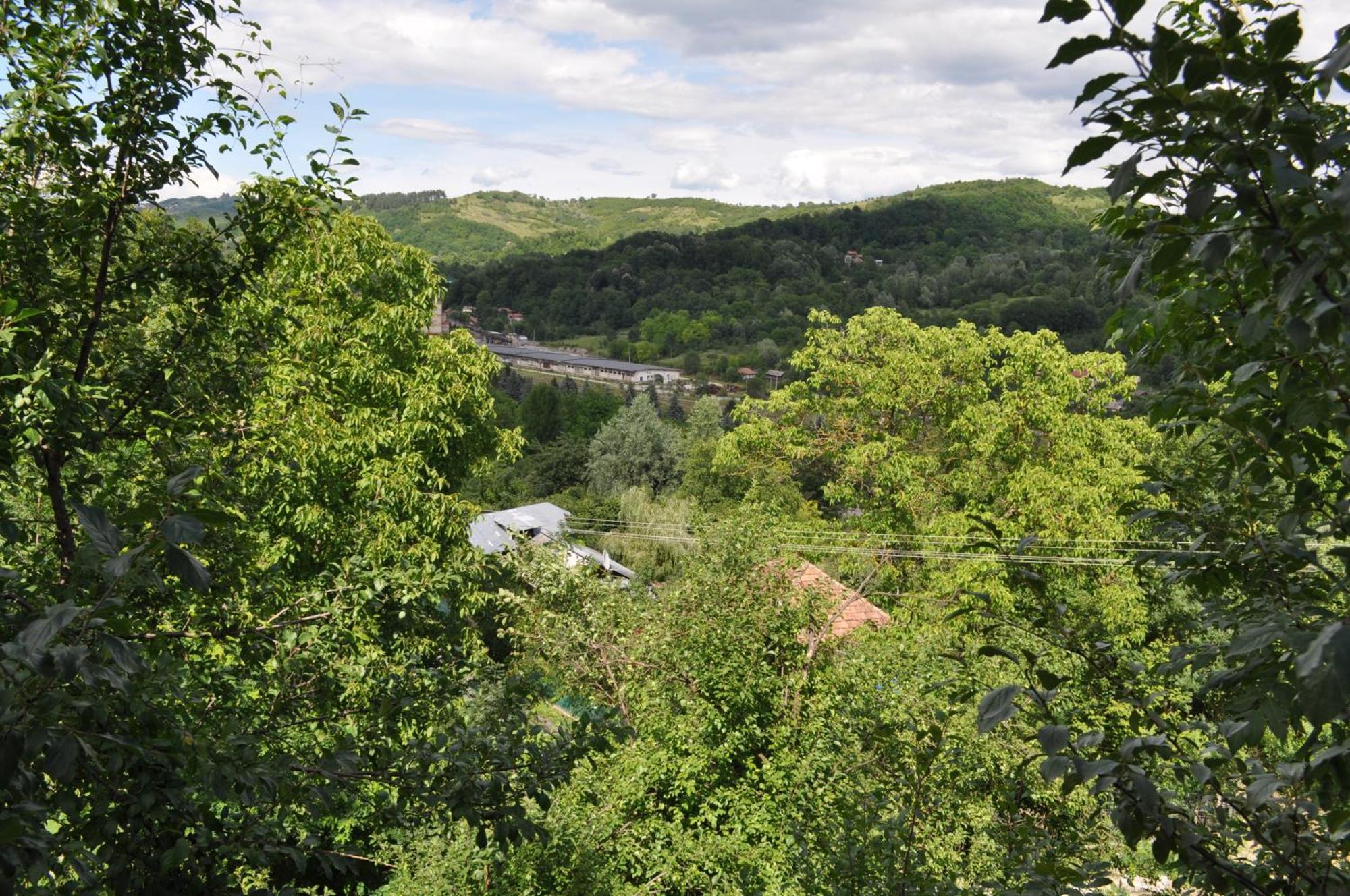 فندق Casuta Cu Trandafiri Slănic المظهر الخارجي الصورة