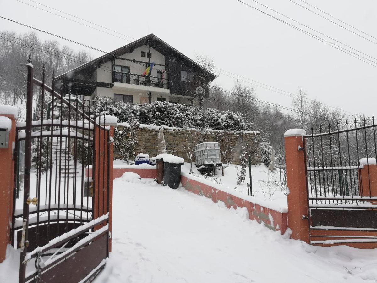 فندق Casuta Cu Trandafiri Slănic المظهر الخارجي الصورة